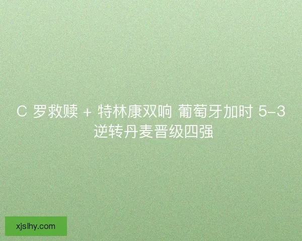 C 罗救赎 + 特林康双响 葡萄牙加时 5-3 逆转丹麦晋级四强