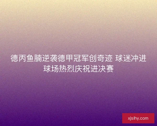 德丙鱼腩逆袭德甲冠军创奇迹 球迷冲进球场热烈庆祝进决赛 德丙鱼腩逆袭德甲冠军创奇迹 球迷冲进球场热烈庆祝进决赛