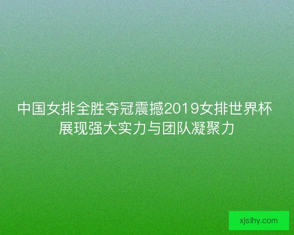 中国女排全胜夺冠震撼2019女排世界杯 展现强大实力与团队凝聚力 中国女排全胜夺冠震撼2019女排世界杯 展现强大实力与团队凝聚力